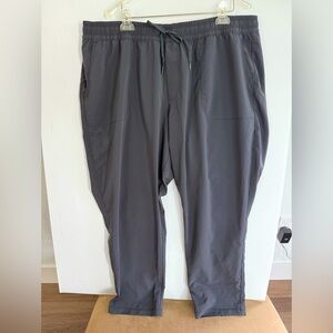 THE NORTH FACE Gray Pants